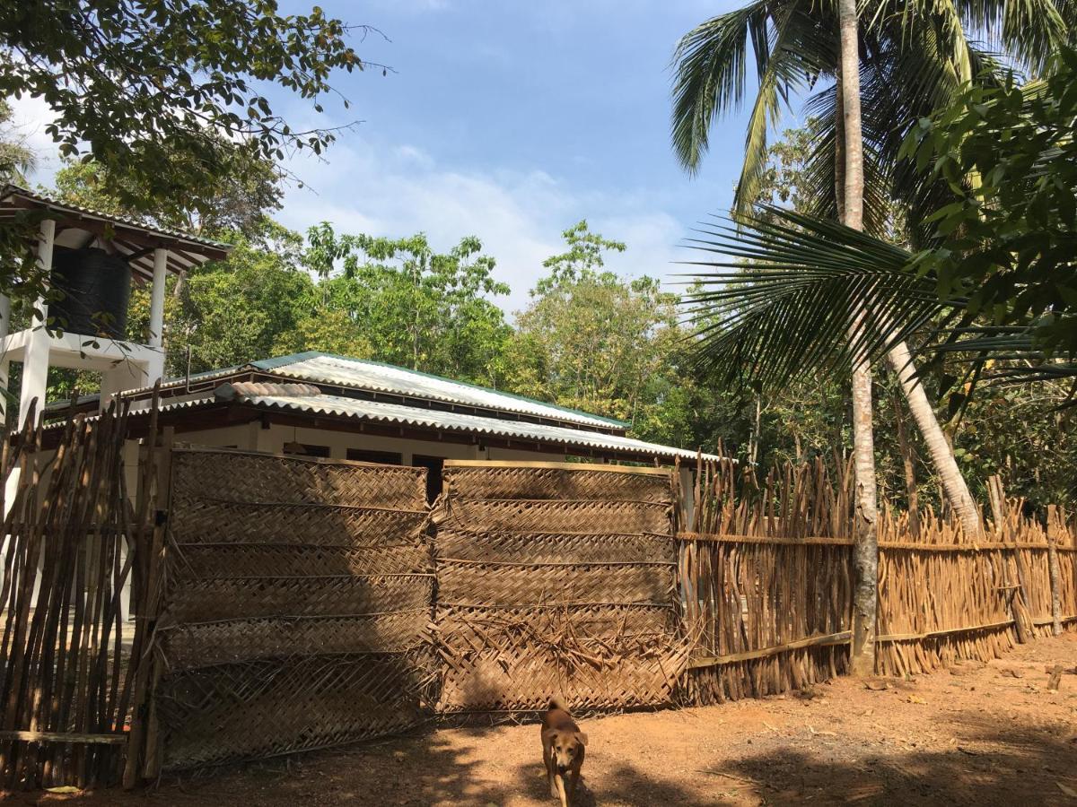 Cashew Villa Hiriketiya Dikwella Exteriér fotografie