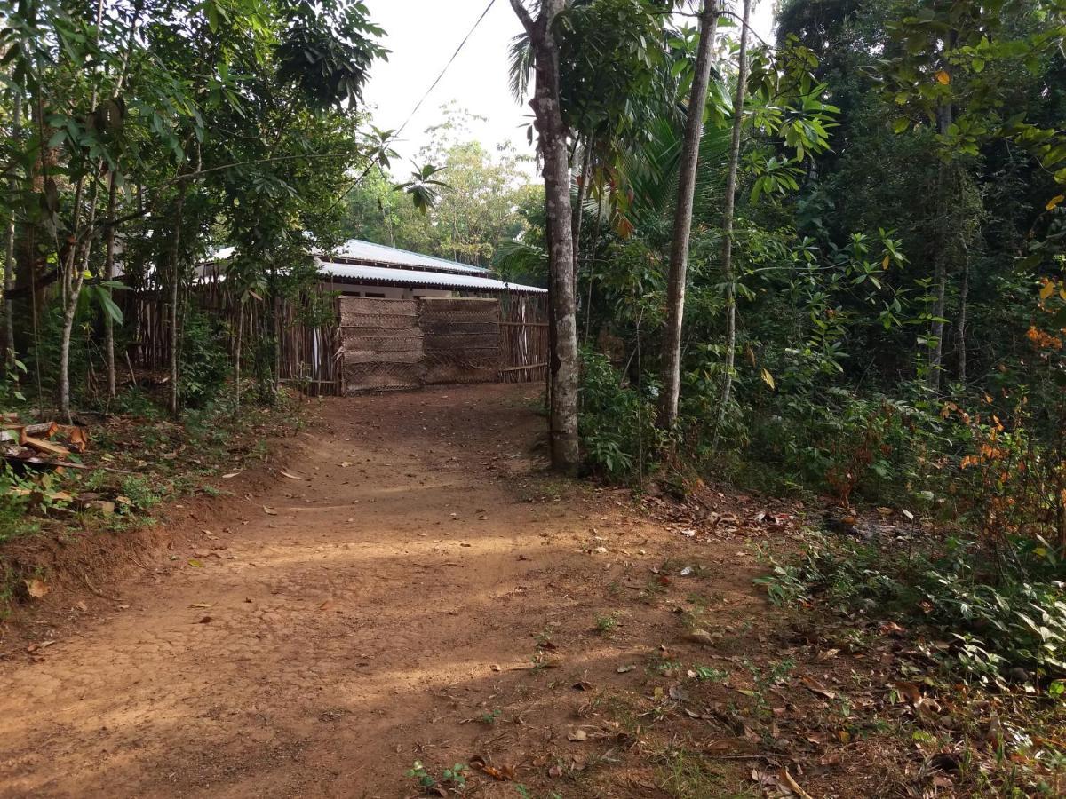 Cashew Villa Hiriketiya Dikwella Exteriér fotografie