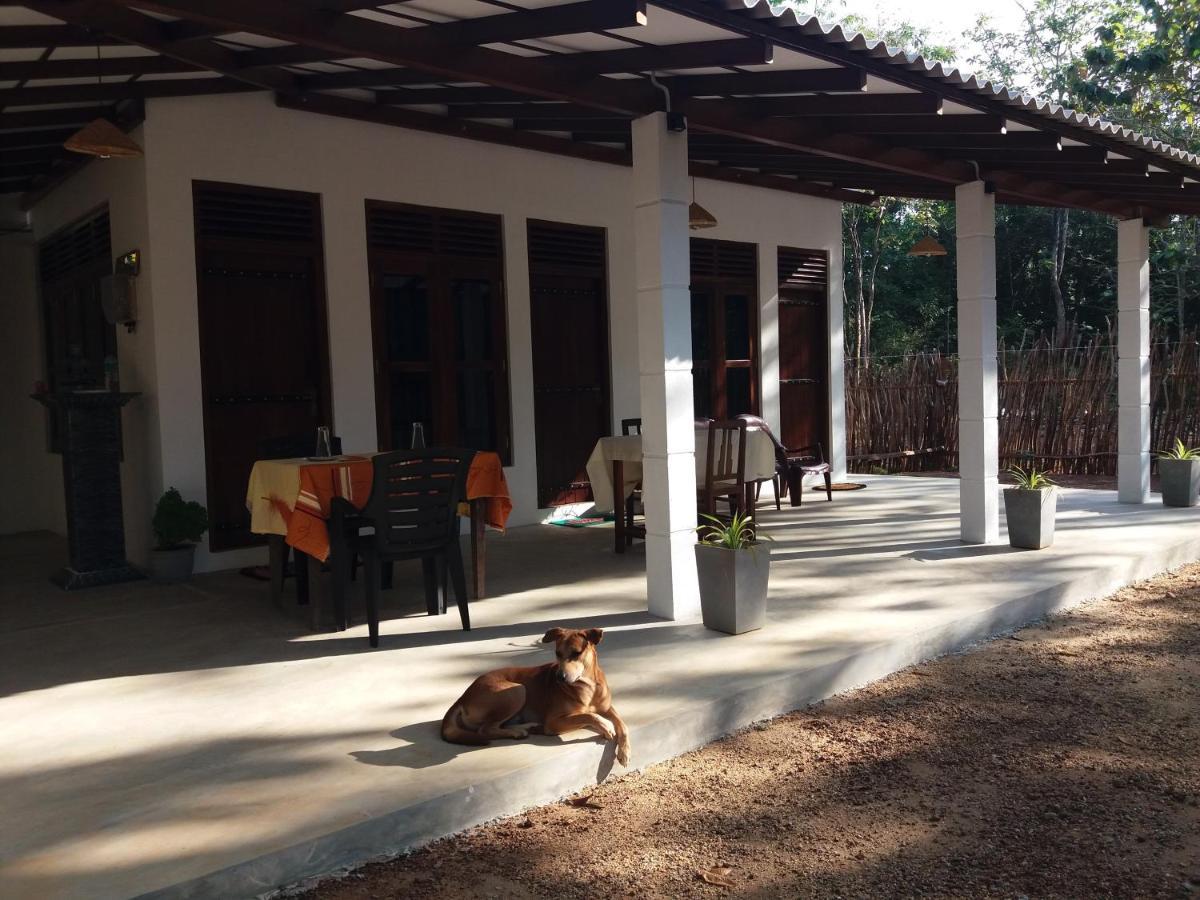 Cashew Villa Hiriketiya Dikwella Exteriér fotografie