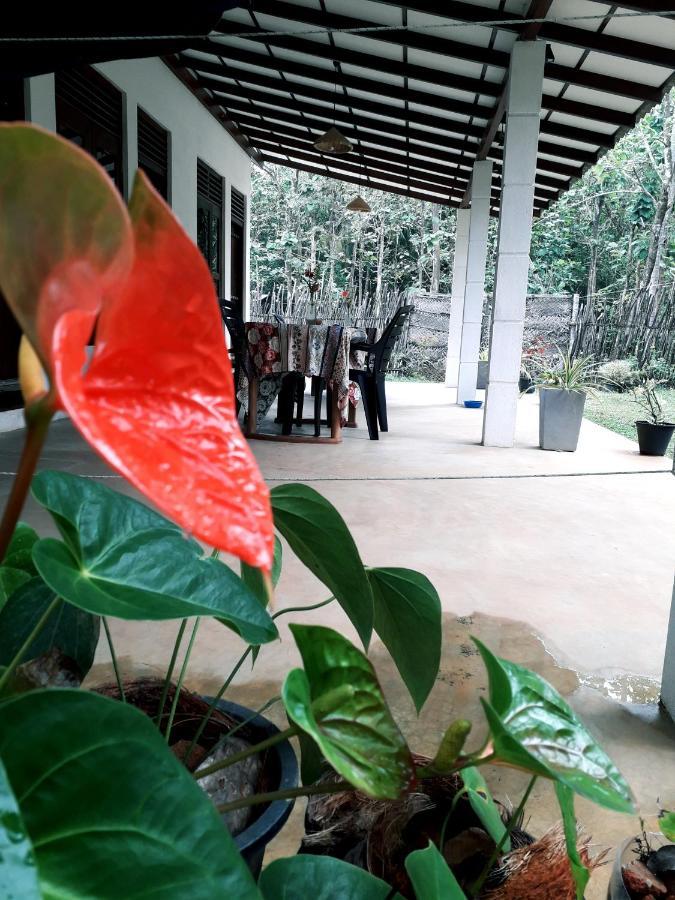 Cashew Villa Hiriketiya Dikwella Exteriér fotografie
