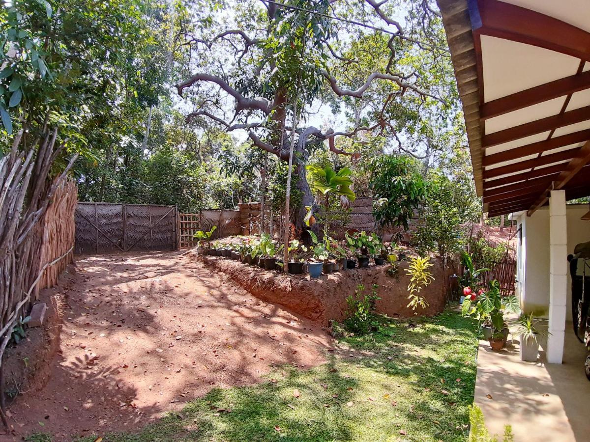 Cashew Villa Hiriketiya Dikwella Exteriér fotografie